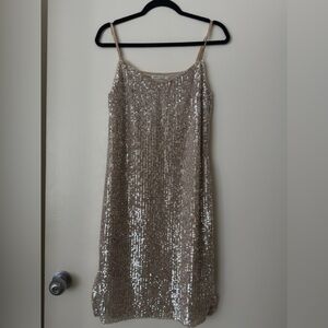 Sequin Beige Dress